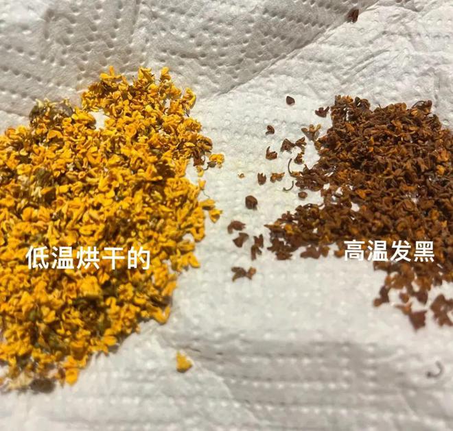 的巨巨巨棒！这份季节限定的美好请查收～米乐体育M6直播平台这些桂花利用方法真(图6)